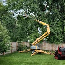 Best Seasonal Cleanup (Spring/Fall)  in West Reading, PA